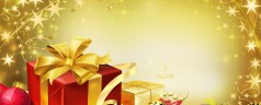 Joyeuses fêtes à tous !