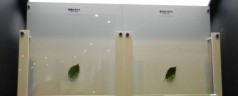 Un verre anti-reflet présenté au Japon
