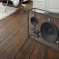 L’enceinte (presque) invisible !